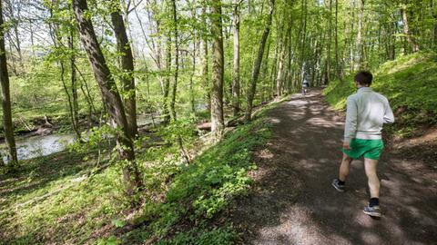 Ein Mann läuft am 09.05.2017 bei Lich (Hessen) den Lutherweg 1521 entlang, der hier durch einen lichten Wald führt.