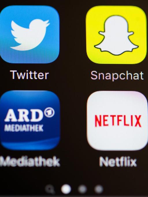 Ansicht eines Smartphone-Bildschirms mit den Apps "Einstellungen", Twitter, Snapchat, Instagram, VSCO, ARD-Mediathek, Netflix und ZDF