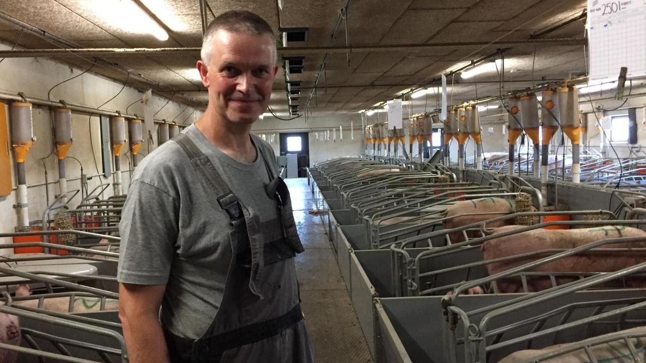 Claus Jørgensen in seinem Schweinestall Claus Jørgensen in seinem Schweinestall