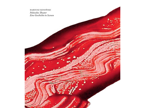 Buchcover "Polnisches Theater" von Dariusz Kosinski Buchcover "Polnisches Theater" von Dariusz Kosinski