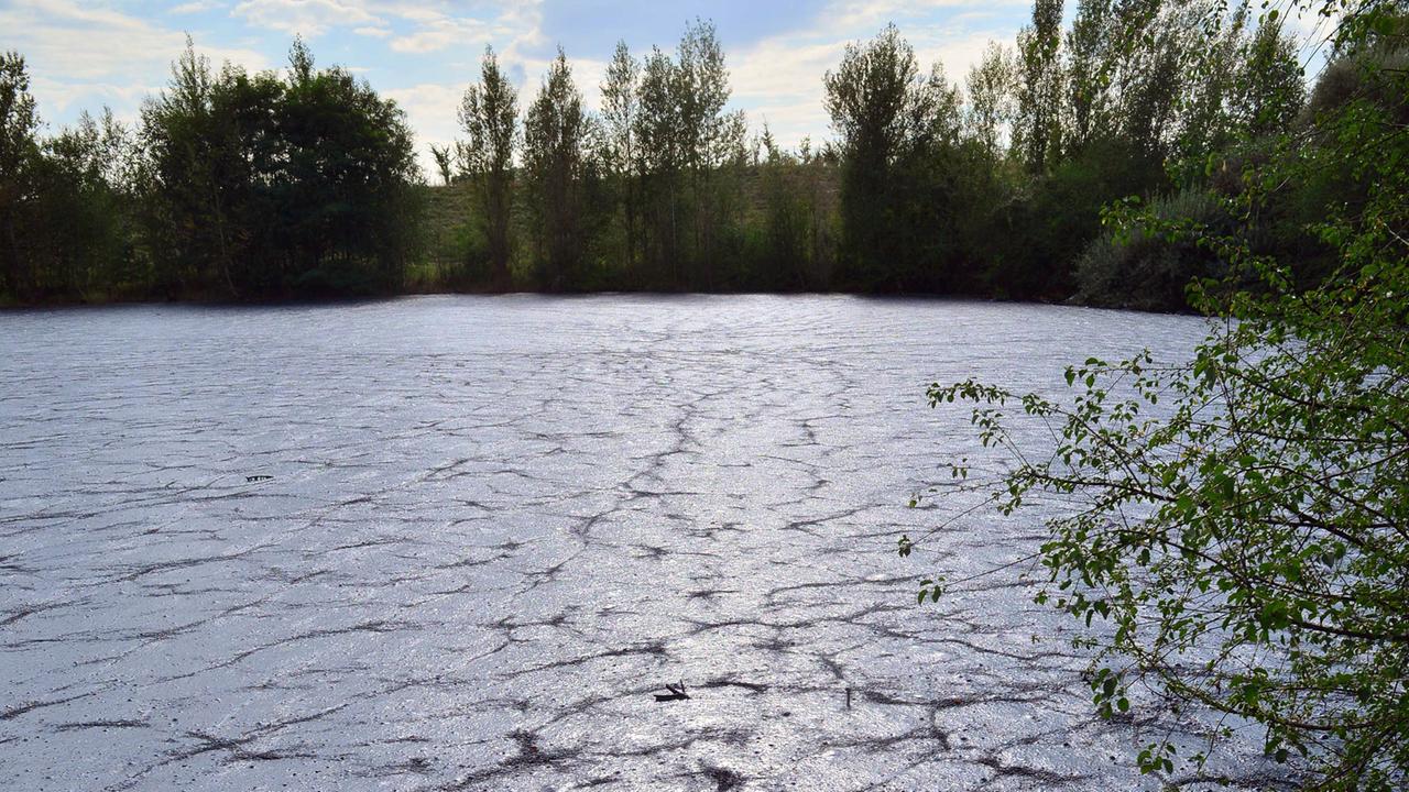 Die Sonne spiegelt sich auf der schwarzen, stinkenden Masse in einem Teersee in Rositz (Thüringen). Die Sonne spiegelt sich auf der schwarzen, stinkenden Masse in einem Teersee in Rositz (Thüringen).
