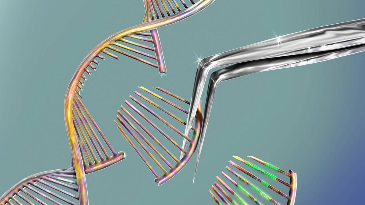 Illustration einer Schere, die ein DNA Molekül modifiziert Illustration einer Schere, die ein DNA Molekül modifiziert
