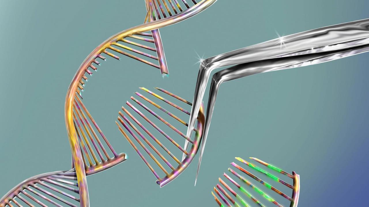 Illustration der Crisp/Cas-Genschere: Ein kleiner Abschnitt des DNA-Molekül wird gezielt modifiziert