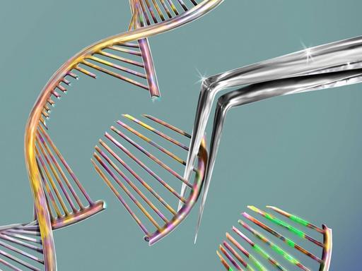 Illustration einer Schere, die ein DNA Molekül modifiziert