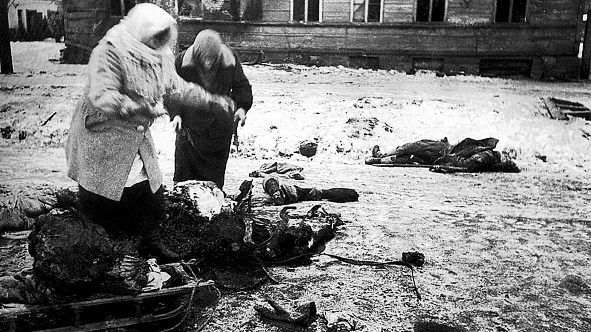 Zwei weibliche Personen sammeln aus Hunger Überreste von toten Pferden während der Leningrader Belagerung auf.