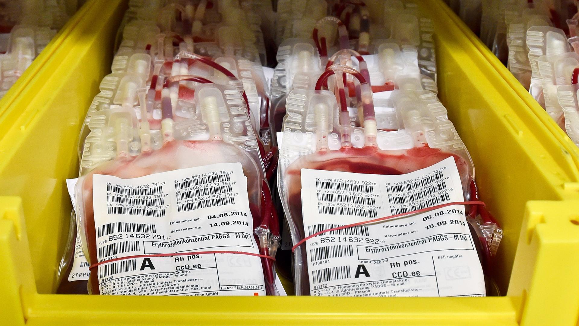Erythrozytenkonzentrat, auch Blutkonserven genannt, liegen am 14.08.2014 in einem Kühlraum der Blutspende beim Deutschen Roten Kreuz DRK in Cottbus Erythrozytenkonzentrat, auch Blutkonserven genannt, liegen am 14.08.2014 in einem Kühlraum der Blutspende beim Deutschen Roten Kreuz DRK in Cottbus
