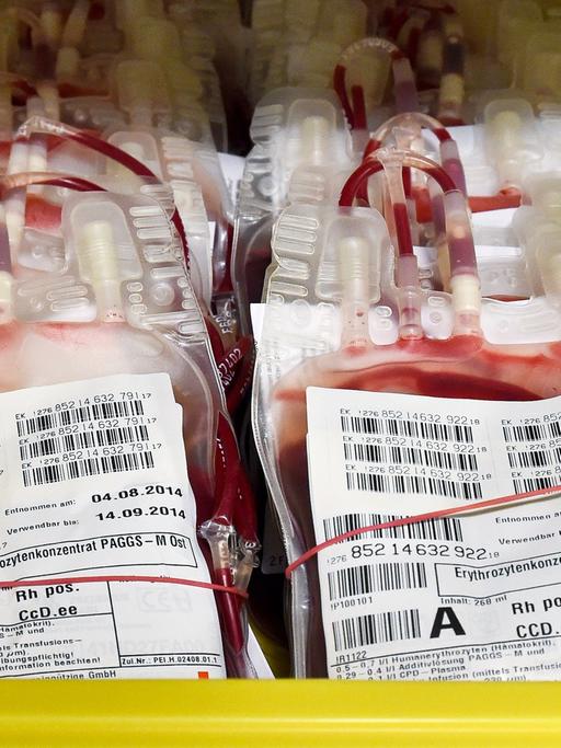 Erythrozytenkonzentrat, auch Blutkonserven genannt, liegen am 14.08.2014 in einem Kühlraum der Blutspende beim Deutschen Roten Kreuz DRK in Cottbus