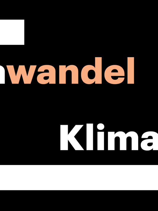 Wandel oder Krise? Wörter können ideologisch selektive Deutungsmuster aufrufen.
