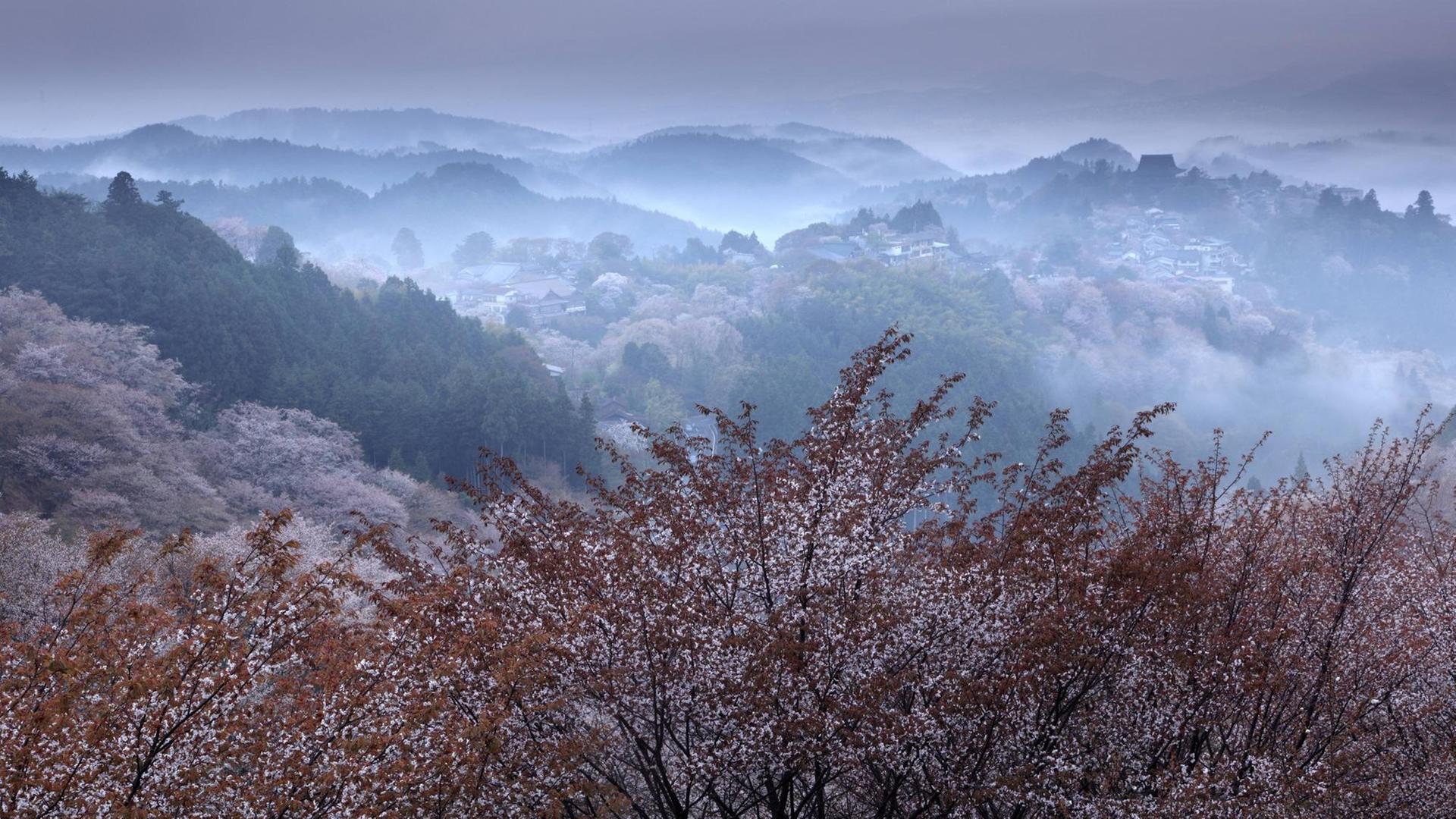 Die Einsamkeit der japanischen Berge. Die Einsamkeit der japanischen Berge.