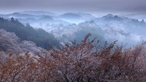 Die Einsamkeit der japanischen Berge.