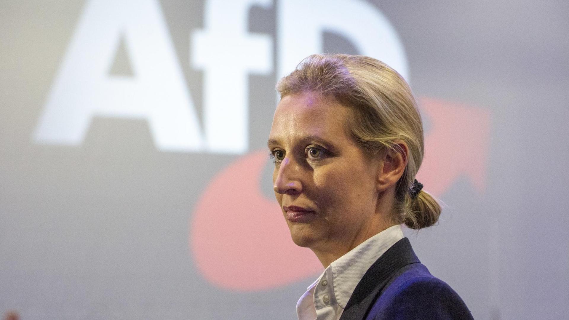 Die AfD-Fraktionschefin im Bundestag, Alice Weidel Die AfD-Fraktionschefin im Bundestag, Alice Weidel