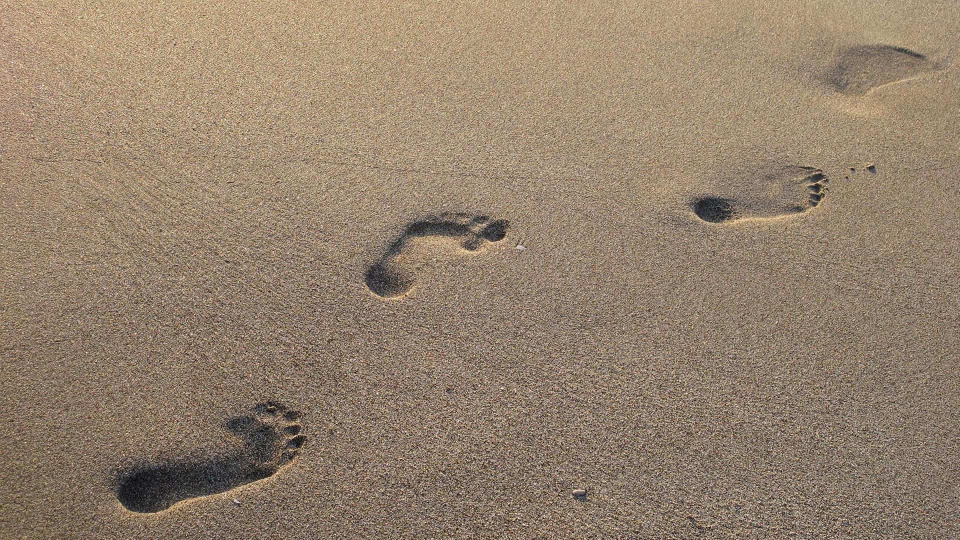 Spuren im Sand. Spuren im Sand.