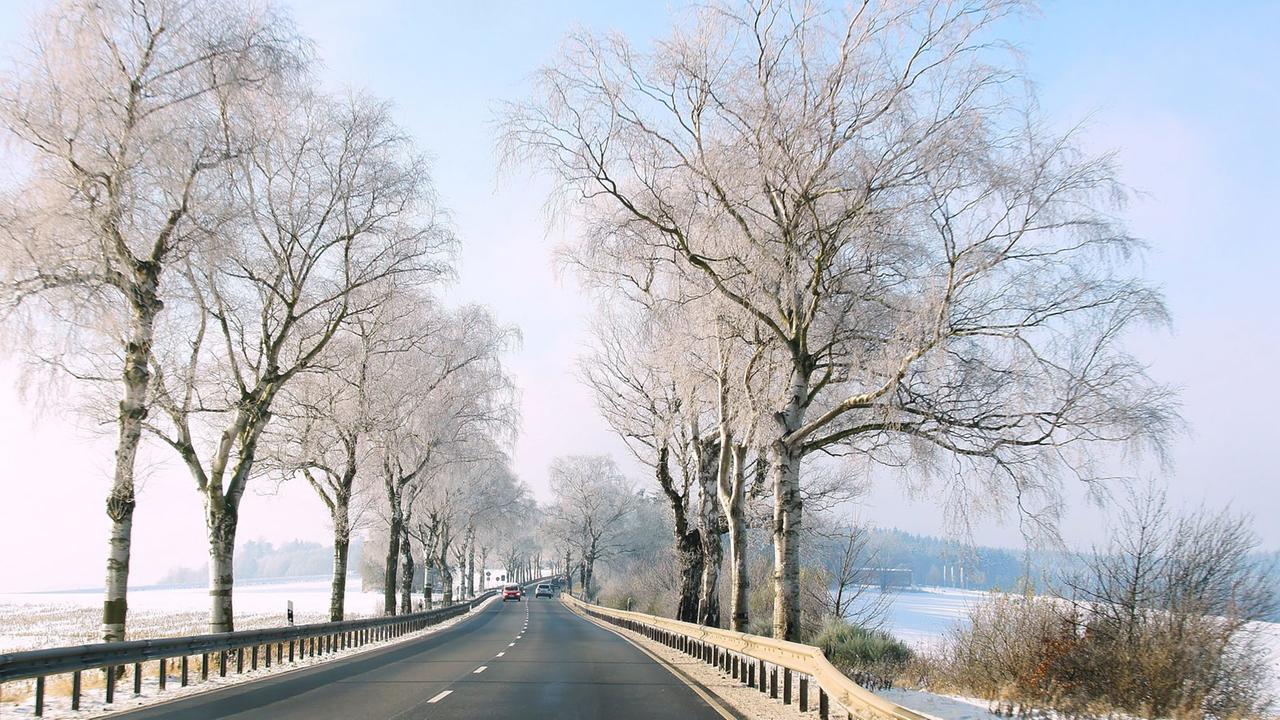 Die Hunsrückhöhenstraße bei Wederath Die Hunsrückhöhenstraße bei Wederath