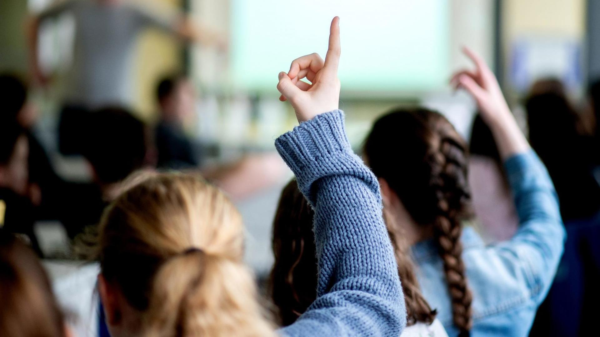 Oldenburg: Schülerinnen melden sich während des Unterrichts an einer Schule. Oldenburg: Schülerinnen melden sich während des Unterrichts an einer Schule.