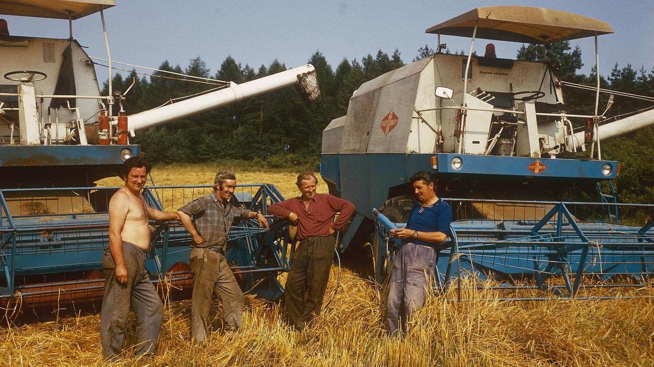 Ein Foto von 1978, auf dem zwei Mähdrescher vom Typ E 512 einer Landwirtschaftlichen Produktionsgenossenschaft zu sehen sind, vor denen vier Männer im Getreide stehen.