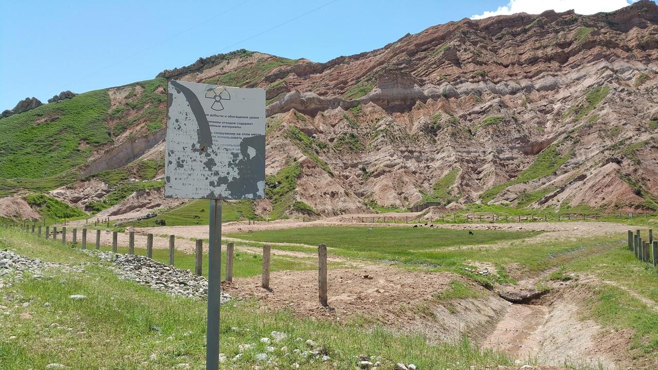 Ziegen grasen auf dem Absetzbecken Nr.5 in Mailuu-Suu Ziegen grasen auf dem Absetzbecken Nr.5 in Mailuu-Suu