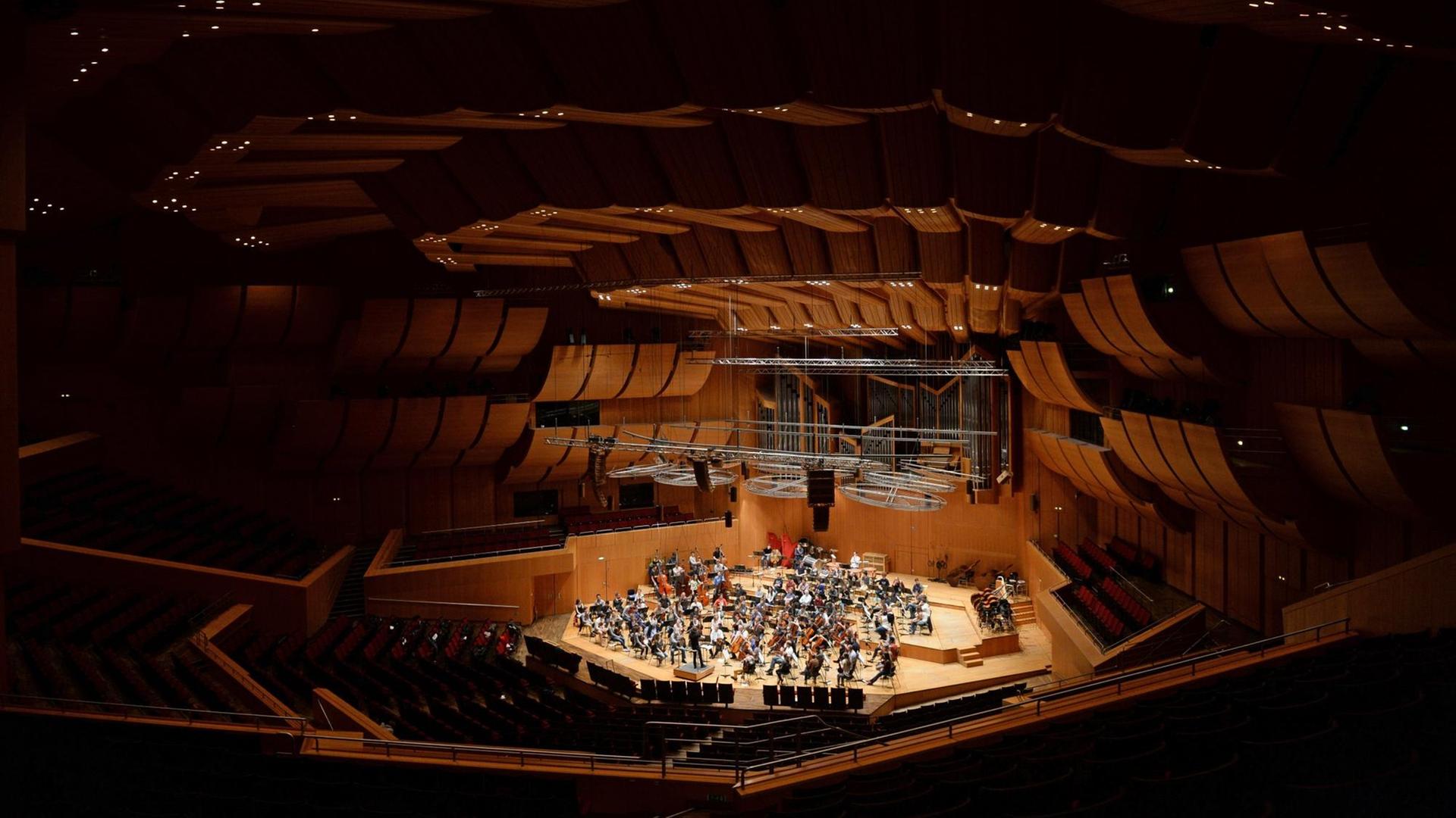 Die Münchner Philharmoniker in einem leeren Konzertsaal. Die Münchner Philharmoniker in einem leeren Konzertsaal.