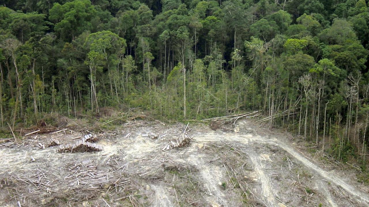 Illegale Abholzung des Regenwaldes auf Sumatra/Indonesien von November 2011. Illegale Abholzung des Regenwaldes auf Sumatra/Indonesien von November 2011.