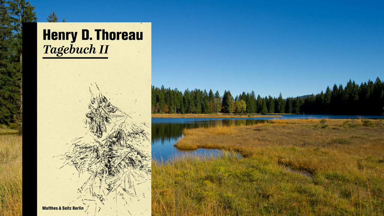 Cover des Buches "Tagebücher II" von Henry David Thoreau vor einer wilden Landschaft.
