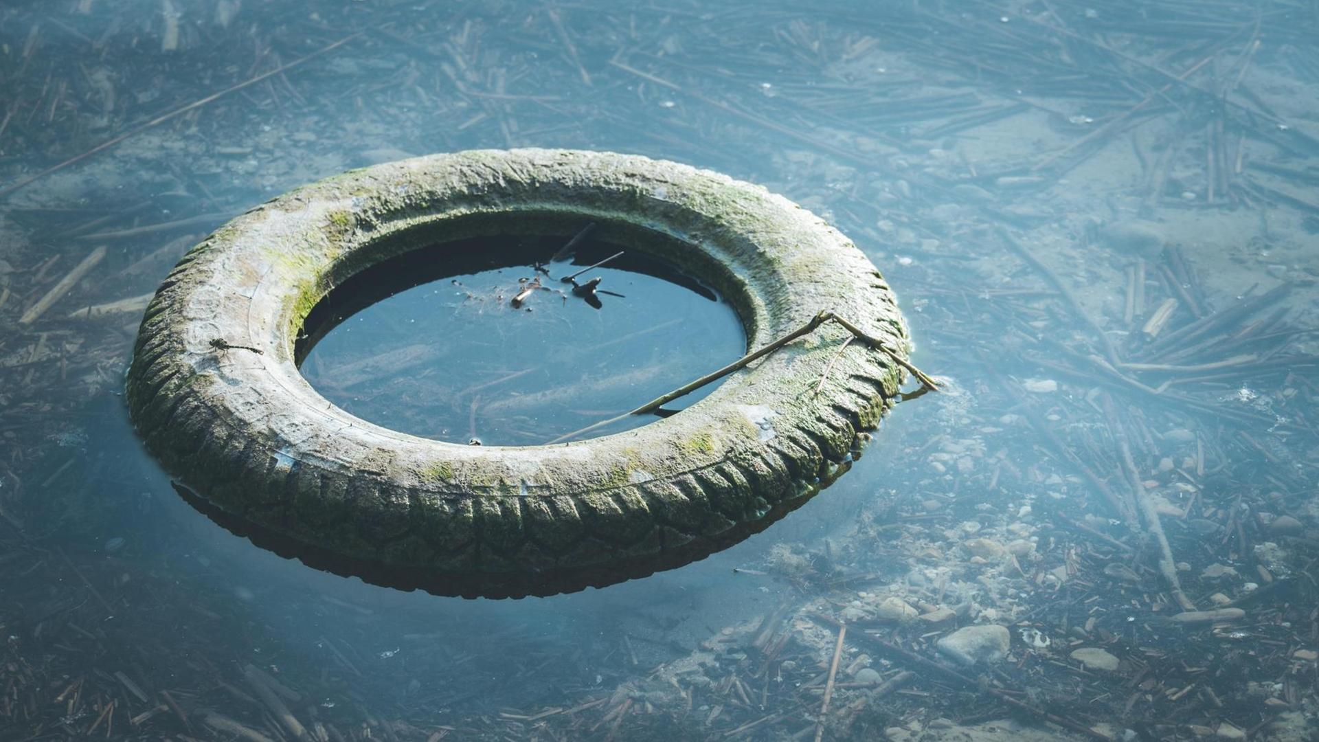 Ein alter Autoreifen schwimmt im Wasser. Ein alter Autoreifen schwimmt im Wasser.