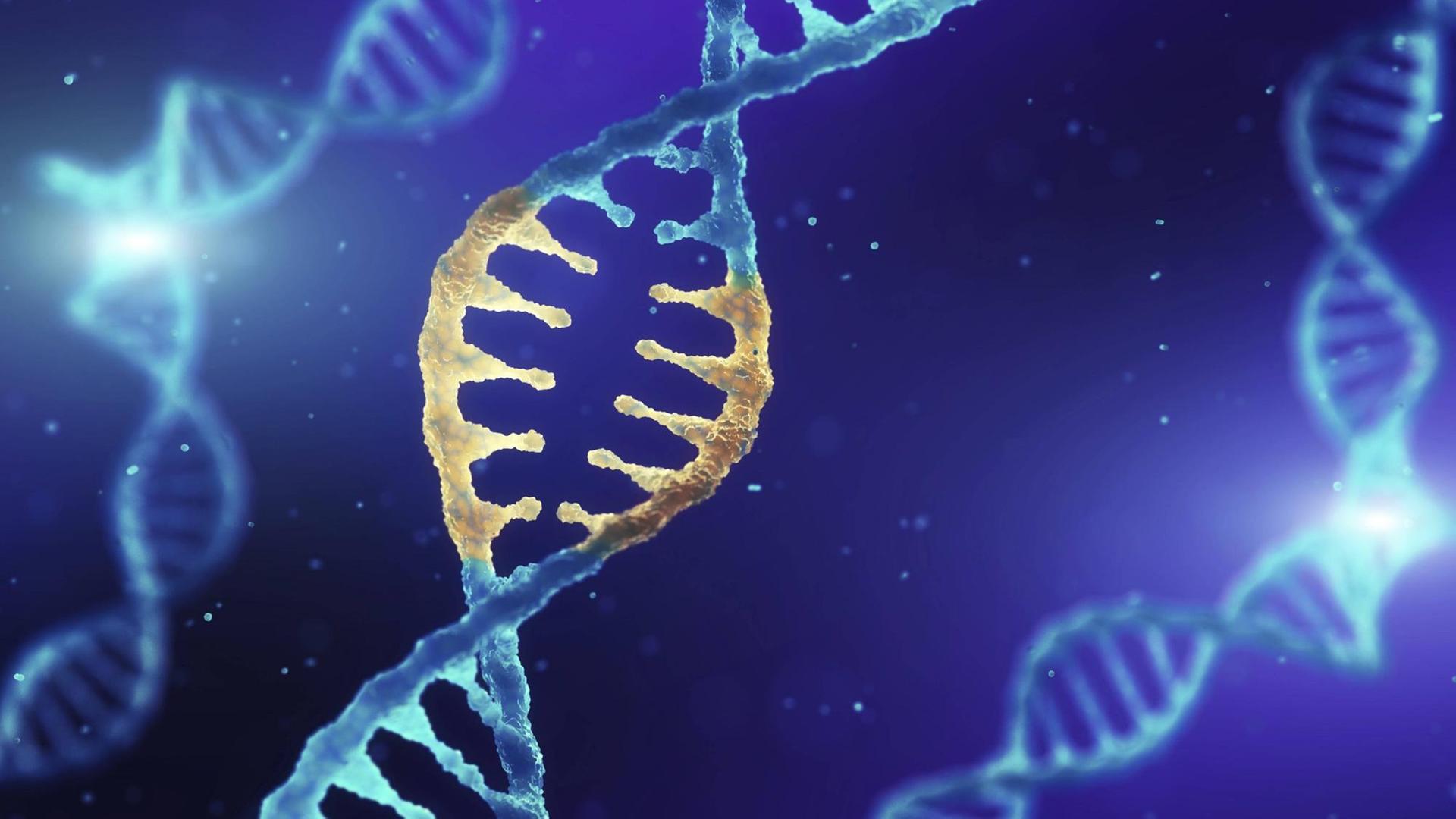 Eine Illustration zeigt Doppelhelix DNA mit modifizierten Genen. (Symbolbild) Eine Illustration zeigt Doppelhelix DNA mit modifizierten Genen. (Symbolbild)