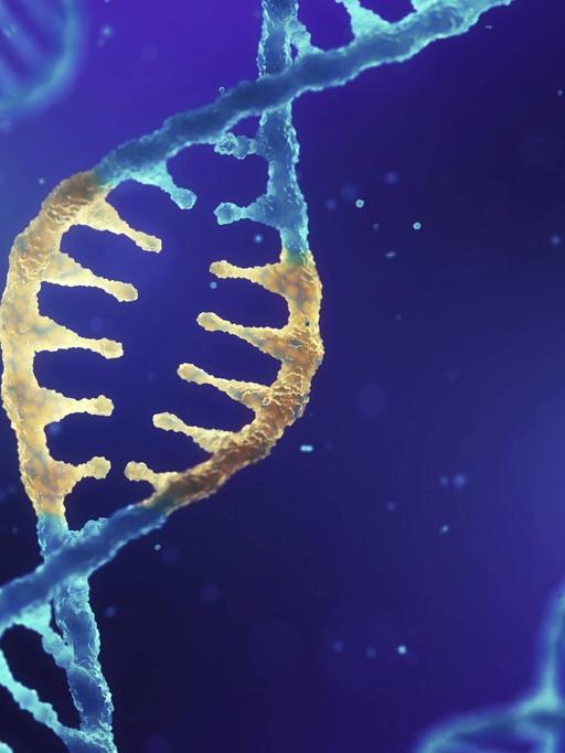 Eine Illustration zeigt Doppelhelix DNA mit modifizierten Genen. (Symbolbild)