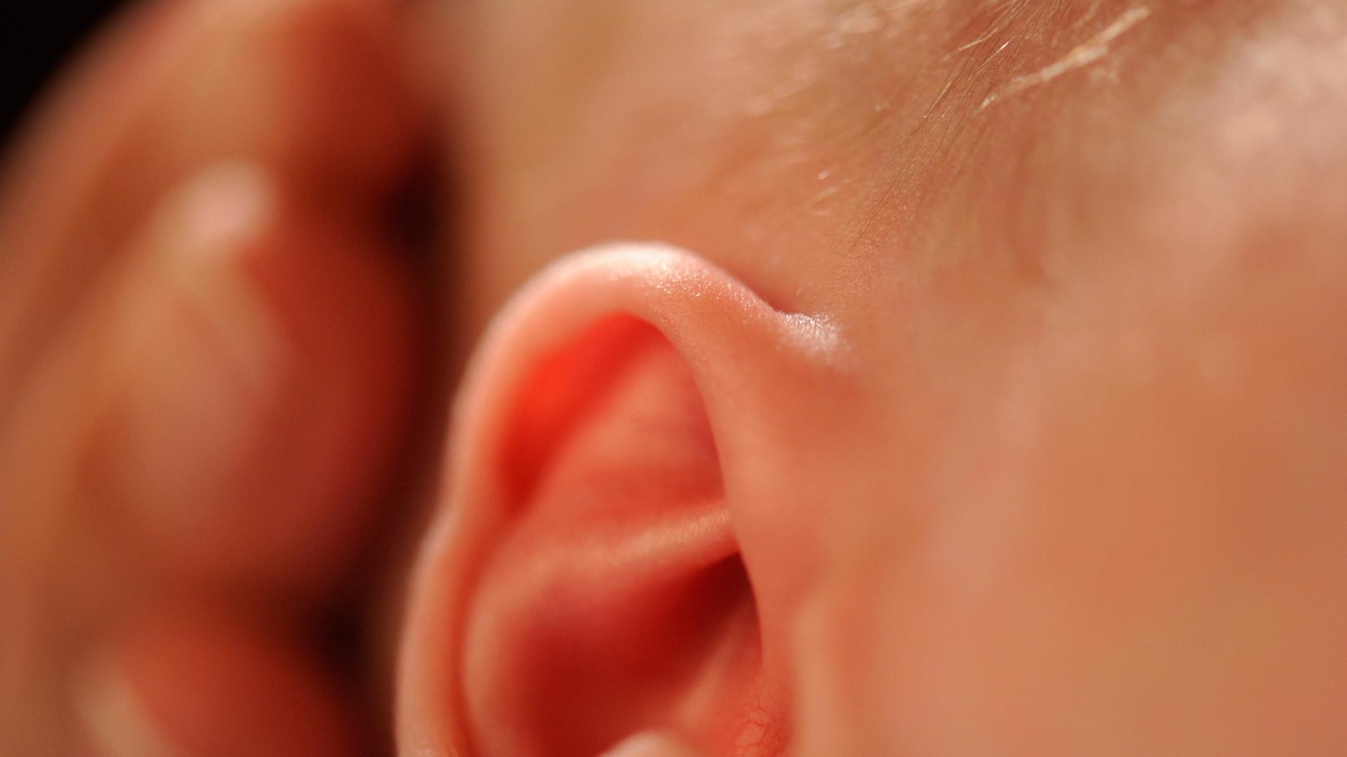 Das Ohr eines Babys