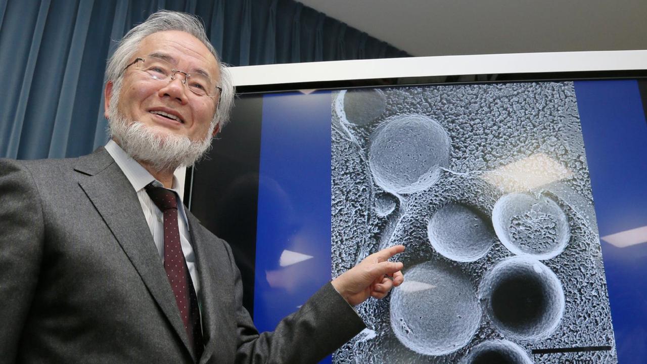Der künftige Nobelpreisträger Yoshinori Ohsumi bei einer Pressekonferenz in Tokio im März 2015. Der künftige Nobelpreisträger Yoshinori Ohsumi bei einer Pressekonferenz in Tokio im März 2015.