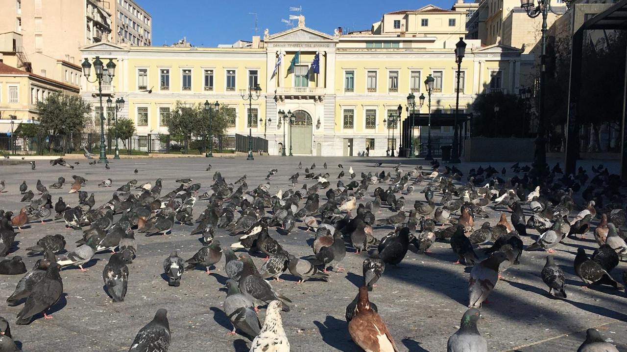 Tauben besetzen den menschenleeren Kotzia-Platz in der Stadtmitte Athens. Tauben besetzen den menschenleeren Kotzia-Platz in der Stadtmitte Athens.