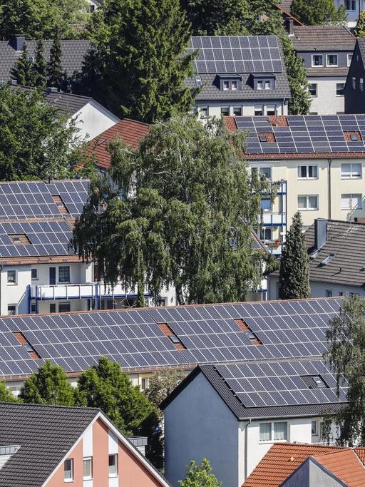 Mehrfamilienhäuser mit Solardächern in Bottrop, Nordrhein-Westfalen.