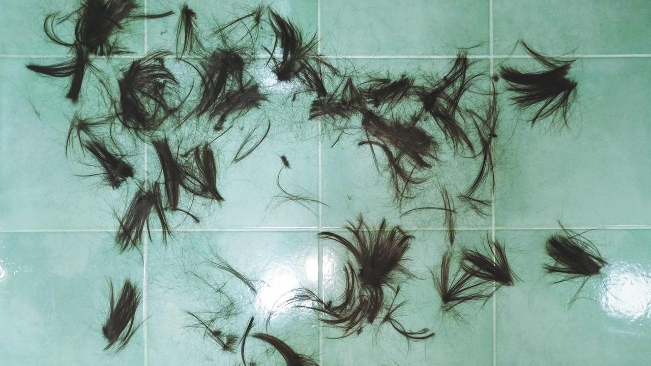 Abgeschnittene Haare liegen auf einem grünen Kachelboden. Abgeschnittene Haare liegen auf einem grünen Kachelboden.
