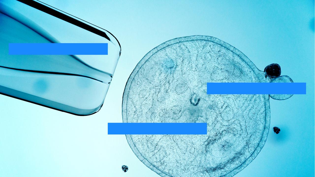 Neues aus der Wissenschaft - Die Wissenschaftsmeldungen aus "Forschung aktuell" Neues aus der Wissenschaft - Die Wissenschaftsmeldungen aus "Forschung aktuell"