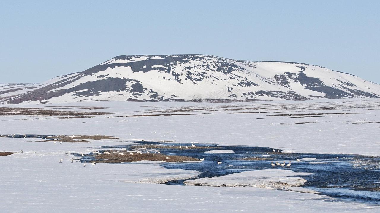 Russische Arktis, Wrangel Island. Ein mit Schnee bedeckter Berg, davor einige Schneegänse auf dem Wasser. Russische Arktis, Wrangel Island. Ein mit Schnee bedeckter Berg, davor einige Schneegänse auf dem Wasser.