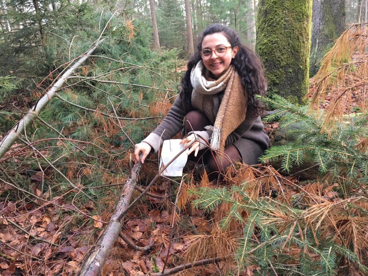 Ausflug in den Pfälzerwald bei Johanniskreuz: Hanna Glass nimmt Harz von einer Kiefer - nur was nach kurzem Wackeln abgeht, nimmt sie in der Papiertüte Ausflug in den Pfälzerwald bei Johanniskreuz: Hanna Glass nimmt Harz von einer Kiefer - nur was nach kurzem Wackeln abgeht, nimmt sie in der Papiertüte