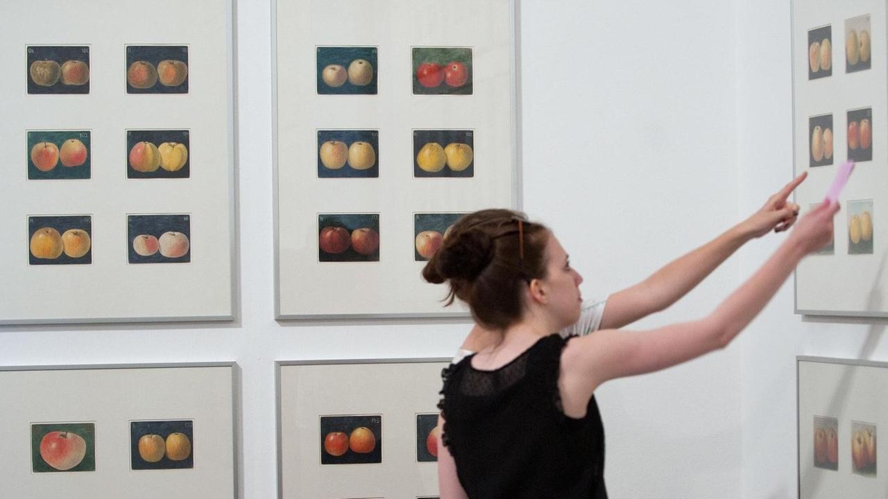 documenta-Besucherinnen betrachten am Mittwoch (04.07.2012) im Museum Fridericianum in Kassel das Werk "Apples 1912-1960s" von Korbinian Aigner, das 372 Zeichnungen zeigt. documenta-Besucherinnen betrachten am Mittwoch (04.07.2012) im Museum Fridericianum in Kassel das Werk "Apples 1912-1960s" von Korbinian Aigner, das 372 Zeichnungen zeigt.