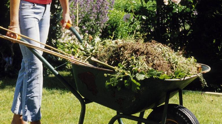 Frau transportiert Gartenabfälle mit einer Schubkarre Frau transportiert Gartenabfälle mit einer Schubkarre