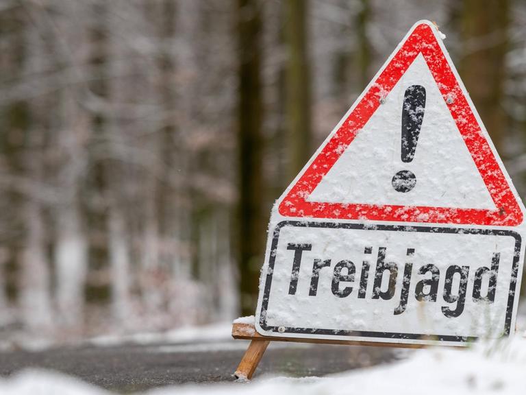 Vor einem Wald ist ein Warnschild aufgestellt, auf diesem steht "Treibjagd". Das Schild ist mit Schnee bedeckt.