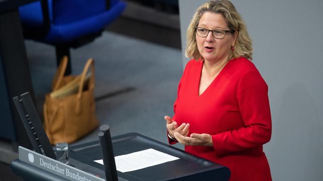 Berlin: Svenja Schulze (SPD), Bundesministerin für Umwelt, spricht bei der 115. Sitzung des Bundestages zu den Abgeordneten.