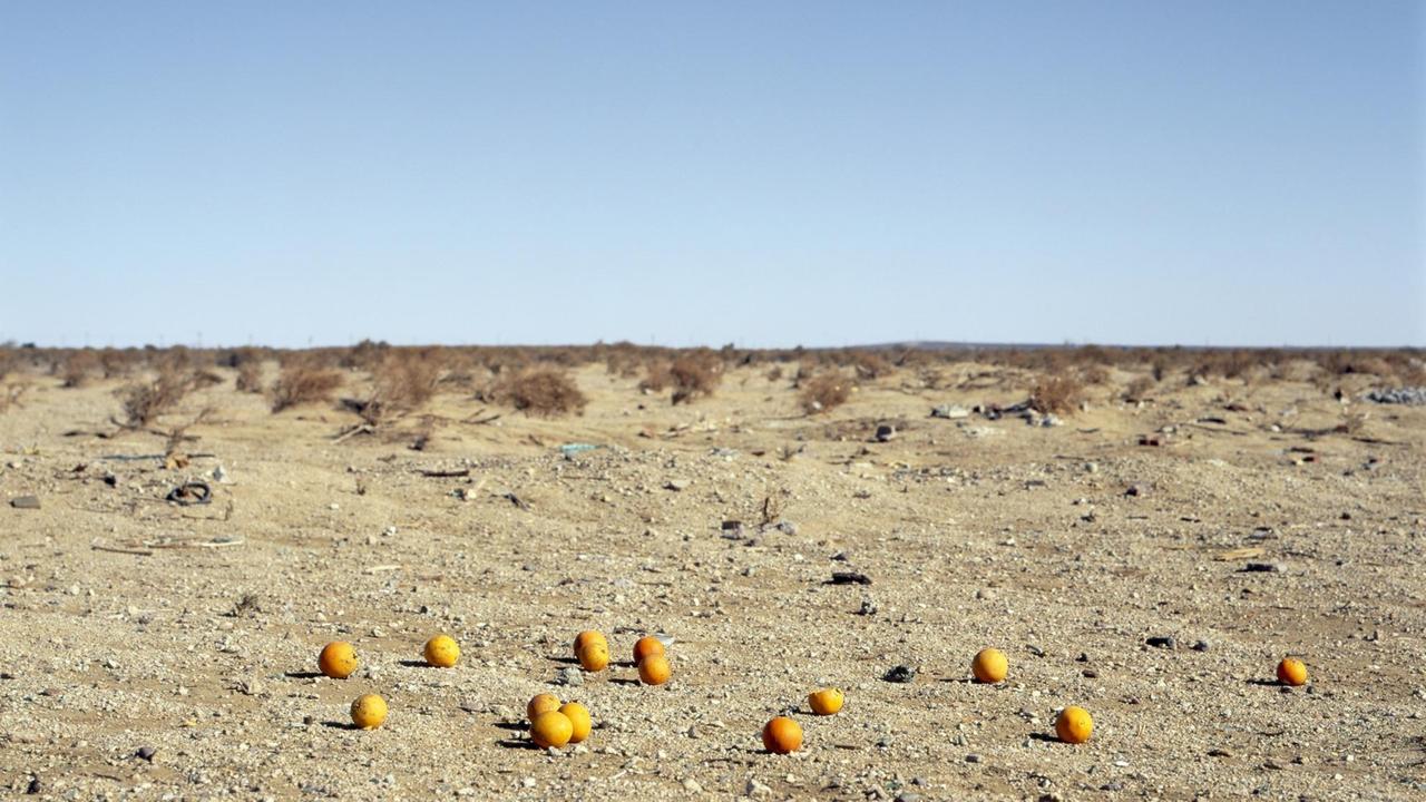 "Discarded #9, 2013" von Anthony Hernandez