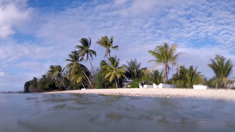 Der gefährdete Inselstaat Tuvalu im Pazifischen Ozean. Vom Wasser aus ist die Insel mit Sandstrand und Palmen fotografiert.