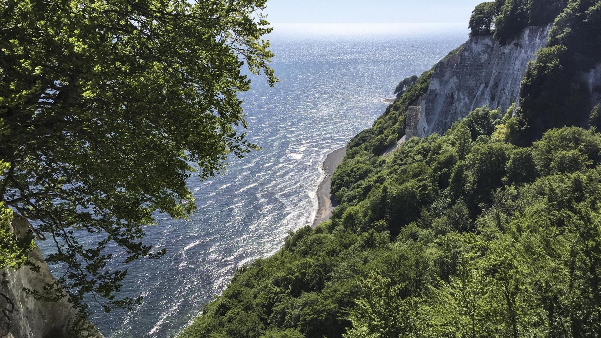 Blick vom Königsstuhl auf die Kreidefelsen auf Rügen. Blick vom Königsstuhl auf die Kreidefelsen auf Rügen.