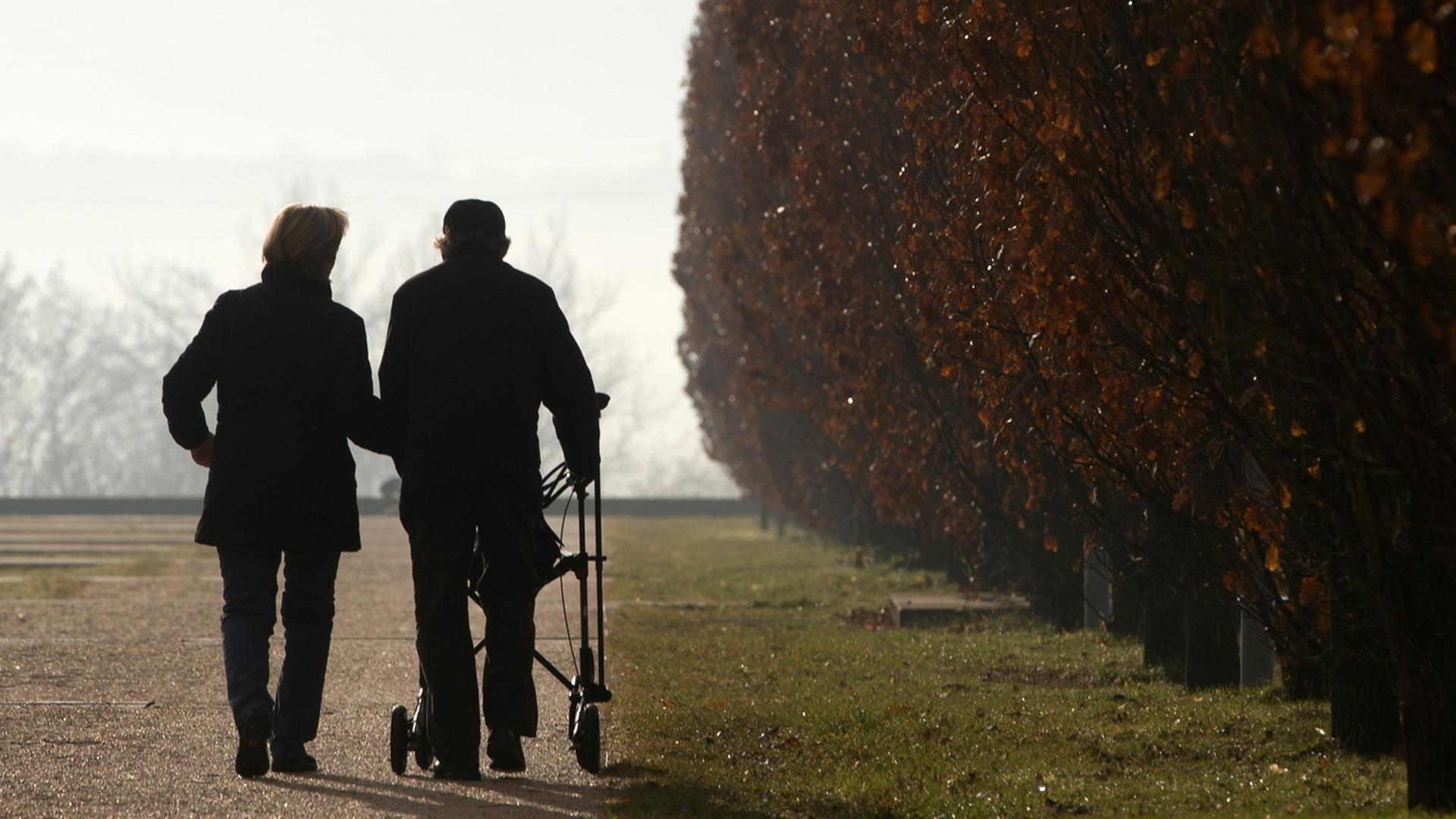 Zwei Spaziergänger gehen am 13.01.2014 in Ostfildern bei Stuttgart (Baden-Württemberg) durch den Scharnhauser Park, einer von ihnen nutzt einen Rollator. Zwei Spaziergänger gehen am 13.01.2014 in Ostfildern bei Stuttgart (Baden-Württemberg) durch den Scharnhauser Park, einer von ihnen nutzt einen Rollator.