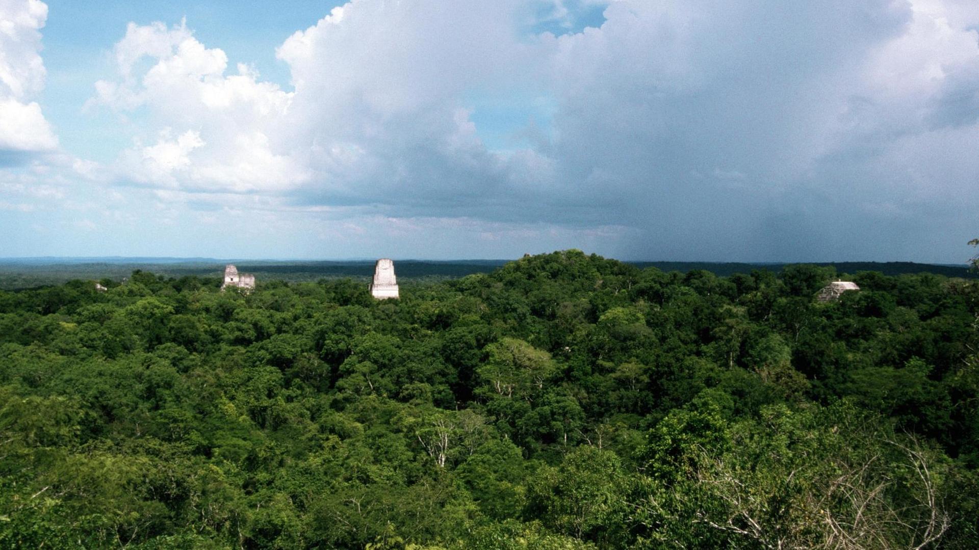 Tempel bei Tikal, Guatemala
