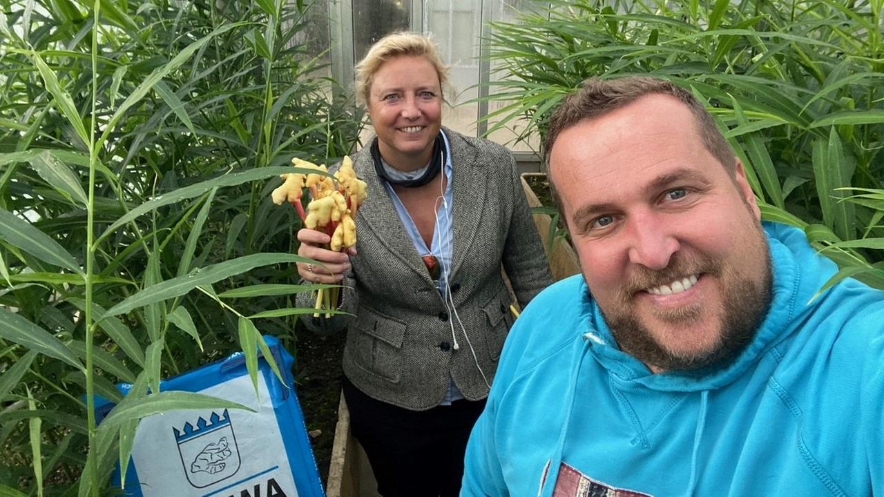Eine Frau und ein Mann in einem Gewächshaus mit Ingwerpflanzen Eine Frau und ein Mann in einem Gewächshaus mit Ingwerpflanzen