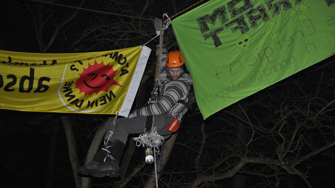 Ein Mann hängt mit Schutzkleidung und Transparenten in einem Baum. Ein Mann hängt mit Schutzkleidung und Transparenten in einem Baum.