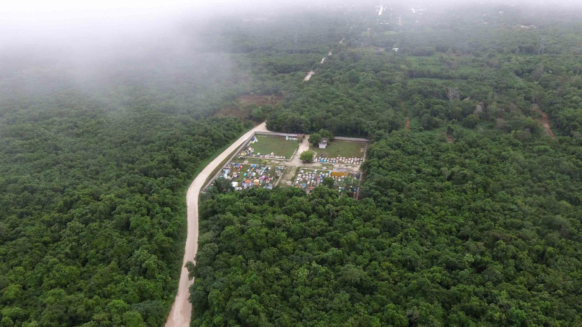 Luftbild von einer Trasse, die durch den Regenwald führt. Luftbild von einer Trasse, die durch den Regenwald führt.