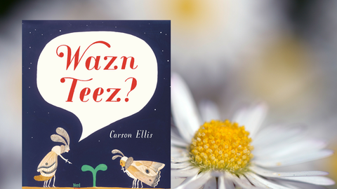 Cover des Buches Wazn Teez? von Carson Ellis