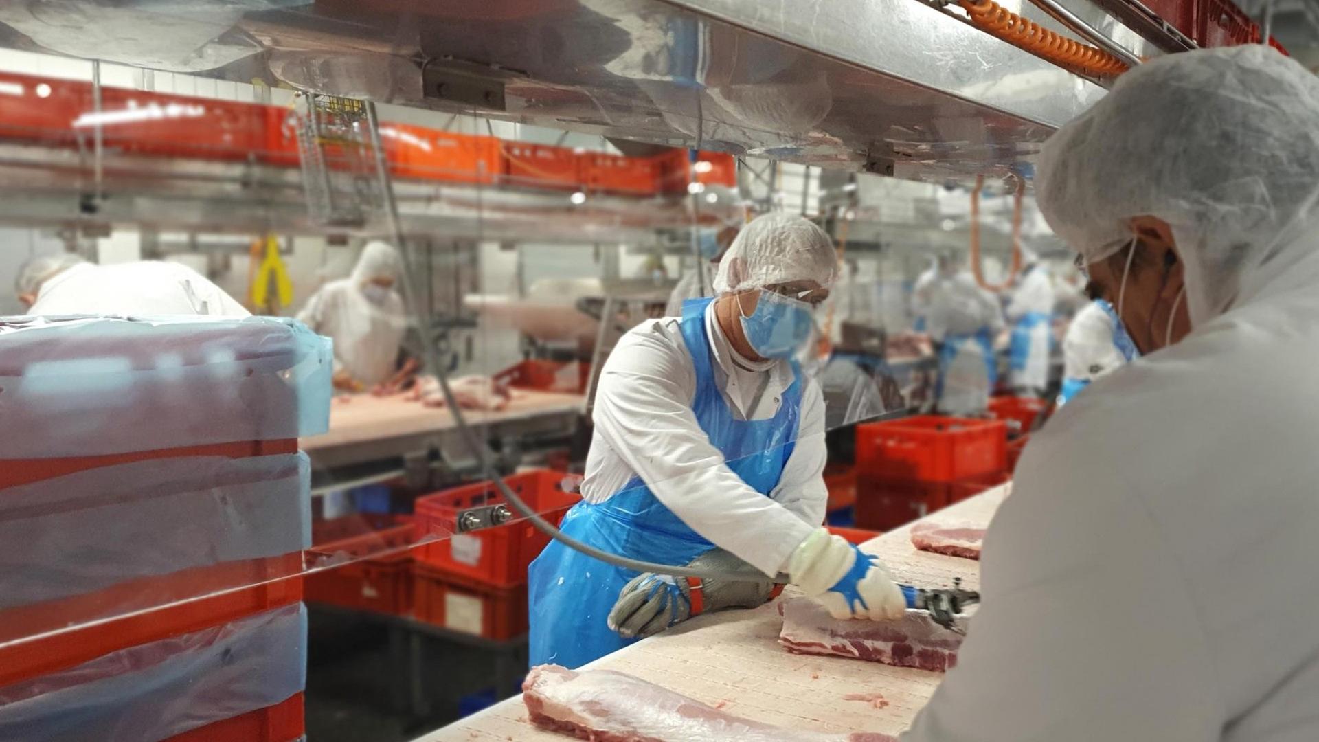 Das von der Firma Tönnies zur Verfügung gestellte Foto zeigt Mitarbeiter, die an ihren Arbeitsplätzen von Plexiglasscheiben voneinander getrennt von Tönnies geschlachtete Tiere im Stammwerk des Betriebes zerlegen. Das von der Firma Tönnies zur Verfügung gestellte Foto zeigt Mitarbeiter, die an ihren Arbeitsplätzen von Plexiglasscheiben voneinander getrennt von Tönnies geschlachtete Tiere im Stammwerk des Betriebes zerlegen.