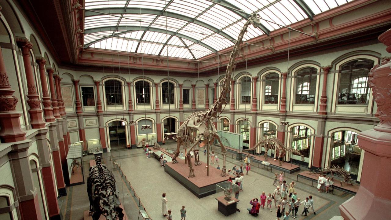 Ein riesiger Dinosaurier in einer großen Halle Ein riesiger Dinosaurier in einer großen Halle