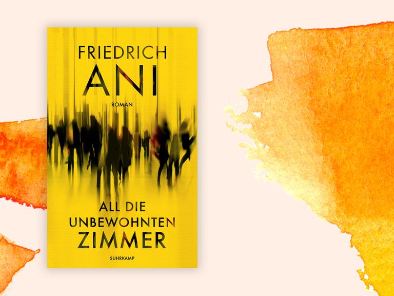 Cover: Friedrich Ani "All die unbewohnten Zimmer"